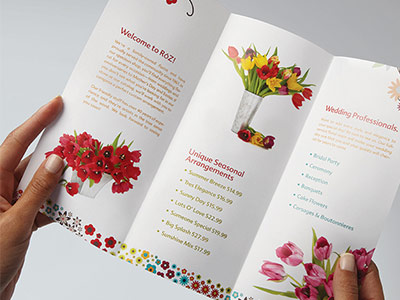 Pictures of flowers for flowershop brochure